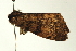  ( - BL1320)  @12 [ ] CreativeCommons - Attribution (2009) Unspecified Centre for Biodiversity Genomics