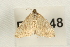  ( - BL1348)  @12 [ ] CreativeCommons - Attribution (2009) Unspecified Centre for Biodiversity Genomics