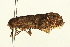  ( - BL1379)  @12 [ ] CreativeCommons - Attribution (2009) Unspecified Centre for Biodiversity Genomics