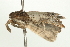  ( - BL0108)  @12 [ ] CreativeCommons - Attribution (2009) Unspecified Centre for Biodiversity Genomics