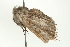  ( - BL0110)  @13 [ ] CreativeCommons - Attribution (2009) Unspecified Centre for Biodiversity Genomics
