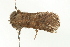  ( - BL0147)  @13 [ ] CreativeCommons - Attribution (2009) Unspecified Centre for Biodiversity Genomics