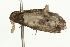  ( - BL183)  @12 [ ] CreativeCommons - Attribution (2009) Unspecified Centre for Biodiversity Genomics