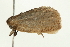  ( - BL420)  @12 [ ] CreativeCommons - Attribution (2009) Unspecified Centre for Biodiversity Genomics