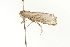  ( - BL440)  @12 [ ] CreativeCommons - Attribution (2009) Unspecified Centre for Biodiversity Genomics