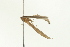  ( - BL492)  @12 [ ] CreativeCommons - Attribution (2009) Unspecified Centre for Biodiversity Genomics