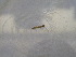  ( - BLG_2017_152_1_2)  @11 [ ] CreativeCommons  Attribution (by) (2019) Jamie Weir University of Edinburgh