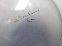  ( - KCZ_2021_169_1_1)  @11 [ ] nrr  NA NA
