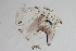  ( - 24-SWRC-0725)  @11 [ ] CreativeCommons - Attribution (2024) Stroud Water Research Center (SWRC) Stroud Water Research Center (SWRC)