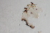  ( - 24-SWRC-0730)  @11 [ ] CreativeCommons - Attribution (2024) Stroud Water Research Center (SWRC) Stroud Water Research Center (SWRC)