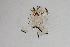  ( - 24-SWRC-0732)  @11 [ ] CreativeCommons - Attribution (2024) Stroud Water Research Center (SWRC) Stroud Water Research Center (SWRC)