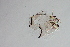  ( - 24-SWRC-0763)  @11 [ ] CreativeCommons - Attribution (2024) Stroud Water Research Center (SWRC) Stroud Water Research Center (SWRC)