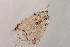  ( - 24-SWRC-0792)  @11 [ ] CreativeCommons - Attribution (2024) Stroud Water Research Center (SWRC) Stroud Water Research Center (SWRC)
