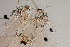  ( - 24-SWRC-0793)  @11 [ ] CreativeCommons - Attribution (2024) Stroud Water Research Center (SWRC) Stroud Water Research Center (SWRC)