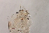  ( - 24-SWRC-0793)  @11 [ ] CreativeCommons - Attribution (2024) Stroud Water Research Center (SWRC) Stroud Water Research Center (SWRC)