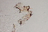  ( - 24-SWRC-0799)  @11 [ ] CreativeCommons - Attribution (2024) Stroud Water Research Center (SWRC) Stroud Water Research Center (SWRC)