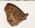  ( - CCDB-02225-B07)  @13 [ ] Copyright (2009) Unspecified The Research Collection of David C. Lees
