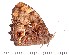  ( - DL14A-0196)  @13 [ ] Copyright (2015) David.C .Lees Cambridge University Department of Zoologyu