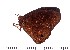  ( - DL14A-0258)  @12 [ ] Copyright (2015) David.C .Lees Cambridge University Department of Zoologyu