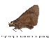  ( - DL14R-237)  @13 [ ] Copyright (2015) David.C .Lees Cambridge University Department of Zoologyu
