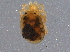  ( - BIOUG11189-B07)  @13 [ ] CreativeCommons - Attribution (2014) CBG Photography Group Centre for Biodiversity Genomics