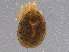  ( - BIOUG11189-E01)  @11 [ ] CreativeCommons - Attribution (2014) CBG Photography Group Centre for Biodiversity Genomics