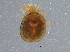  ( - BIOUG11189-F12)  @14 [ ] CreativeCommons - Attribution (2014) CBG Photography Group Centre for Biodiversity Genomics