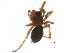  ( - PF14-19-09)  @15 [ ] CreativeCommons - Attribution (2015) CBG Photography Group Centre for Biodiversity Genomics
