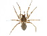  ( - PF14-19-01)  @15 [ ] CreativeCommons - Attribution (2015) CBG Photography Group Centre for Biodiversity Genomics