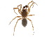  ( - PF14-19-05)  @15 [ ] CreativeCommons - Attribution (2015) CBG Photography Group Centre for Biodiversity Genomics