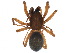  ( - PF14-19-06)  @11 [ ] CreativeCommons - Attribution (2015) CBG Photography Group Centre for Biodiversity Genomics