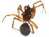  ( - PF14-35-01)  @11 [ ] CreativeCommons - Attribution (2015) CBG Photography Group Centre for Biodiversity Genomics