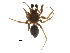  ( - PF14-35-04)  @13 [ ] CreativeCommons - Attribution (2015) CBG Photography Group Centre for Biodiversity Genomics