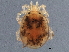  ( - BIOUG11119-F07)  @11 [ ] CreativeCommons - Attribution (2014) CBG Photography Group Centre for Biodiversity Genomics