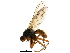  ( - HC-15-02)  @14 [ ] CreativeCommons - Attribution (2015) CBG Photography Group Centre for Biodiversity Genomics