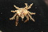  ( - 15-BMACGRV-00967)  @11 [ ] CreativeCommons - Attribution Non-Commercial Share-Alike (2018) Daniel H. Janzen Guanacaste Dry Forest Conservation Fund