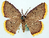  ( - BMNH(E) #817846)  @11 [ ] CreativeCommons - Attribution Share-Alike (2018) Unspecified Smithsonian Institution National Museum of Natural History