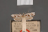  ( - BMNH(E)-954154)  @11 [ ] Copyright (2011) NHM London NHM London