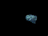  (Paracalanus sp. 2 - OLT17Cope043)  @11 [ ] Laboratory of Marine Biology (2017) Battuello, Marco University of Turin