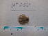  ( - MT01031)  @11 [ ] CreativeCommons - Attribution Non-Commercial Share-Alike (2015) Unspecified Deutsche Zentrum fuer Marine Biodiversitaetsforschung Wilhelmshaven