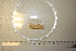  ( - MT01633)  @11 [ ] CreativeCommons - Attribution Non-Commercial Share-Alike (2015) Unspecified Deutsche Zentrum fuer Marine Biodiversitaetsforschung Wilhelmshaven