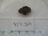 ( - MT04964)  @12 [ ] CreativeCommons - Attribution Non-Commercial Share-Alike (2015) Unspecified Deutsche Zentrum fuer Marine Biodiversitaetsforschung Wilhelmshaven