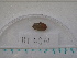  ( - MT04971)  @12 [ ] CreativeCommons - Attribution Non-Commercial Share-Alike (2015) Unspecified Deutsche Zentrum fuer Marine Biodiversitaetsforschung Wilhelmshaven
