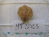  ( - MT05056)  @11 [ ] CreativeCommons - Attribution Non-Commercial Share-Alike (2015) Unspecified Deutsche Zentrum fuer Marine Biodiversitaetsforschung Wilhelmshaven