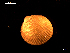  ( - MT07715)  @11 [ ] CreativeCommons - Attribution Non-Commercial Share-Alike (2015) Unspecified Deutsche Zentrum fuer Marine Biodiversitaetsforschung Wilhelmshaven