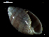  ( - MT07731)  @11 [ ] CreativeCommons - Attribution Non-Commercial Share-Alike (2015) Unspecified Deutsche Zentrum fuer Marine Biodiversitaetsforschung Wilhelmshaven