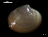  ( - MT07753)  @11 [ ] CreativeCommons - Attribution Non-Commercial Share-Alike (2015) Unspecified Deutsche Zentrum fuer Marine Biodiversitaetsforschung Wilhelmshaven