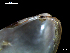  ( - MT07754)  @11 [ ] CreativeCommons - Attribution Non-Commercial Share-Alike (2015) Unspecified Deutsche Zentrum fuer Marine Biodiversitaetsforschung Wilhelmshaven