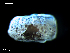  ( - MT09677)  @13 [ ] CreativeCommons - Attribution Non-Commercial Share-Alike (2015) Unspecified Deutsche Zentrum fuer Marine Biodiversitaetsforschung Wilhelmshaven