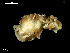  ( - MT09706)  @14 [ ] CreativeCommons - Attribution Non-Commercial Share-Alike (2015) Unspecified Deutsche Zentrum fuer Marine Biodiversitaetsforschung Wilhelmshaven